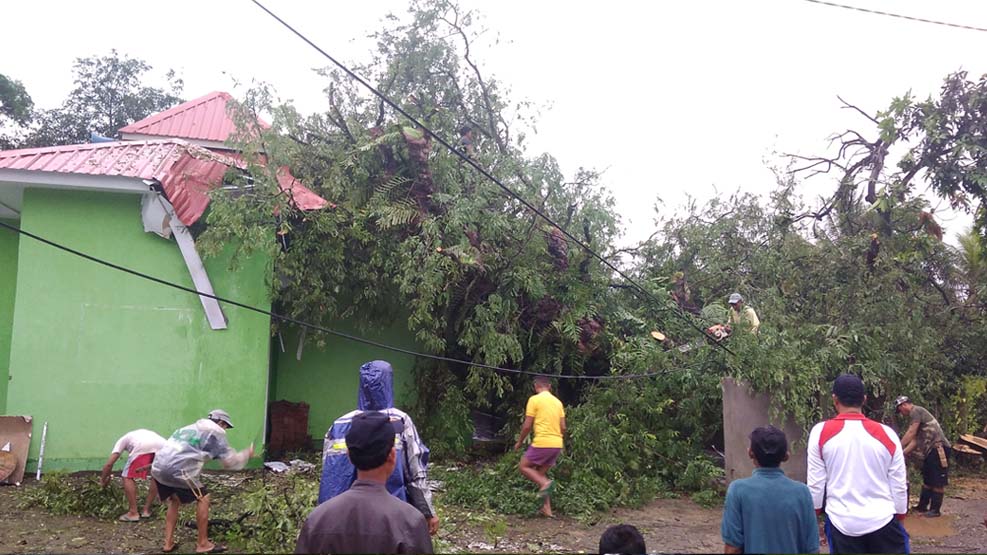 Pohon Tumbang Menimpa Masjid dan Rumah Warga Simbang Maros