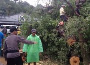 Pohon Tumbang Menimpa Masjid dan Rumah Warga Simbang Maros