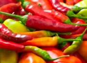 8 Khasiat Cabai Rawit Bagi Kesehatan Tubuh