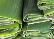 Jelang Lebaran Idul Adha, Daun Pisang Marak Dijual