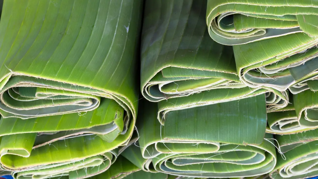 Jelang Lebaran Idul Adha, Penjualan Daun Pisang Meningkat di Pasar Pakalu Bantimurung