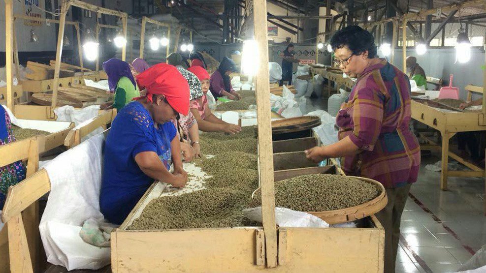 PTPN XII Manfaatkan Limbah Kopi jadi Pupuk Organik