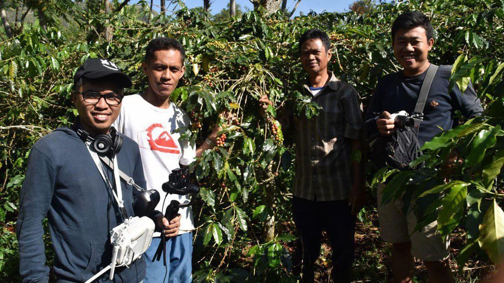 Petani Enrekang Jaga Produktivitas Kopi dengan Pupuk Alami