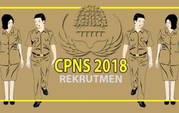 Penerimaan CPNS 2018