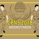 Penerimaan CPNS 2018