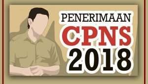 13.345 Eks Tenaga Honorer K-II, Hanya 8.765 Pelamar Telah Terkirim di SSCN BKN