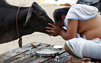 Hindu Garis Keras di New Delhi, Paksa Toko Daging Sapi Ditutup 4 Hindu Garis Keras di New Delhi Paksa Toko Daging Sapi Ditutup