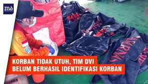 Tim DVI: Belum Ada Korban Lion Air JT-610 yang Berhasil Diidentifikasi