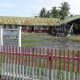 Kondisi Palu Berangsur Pulih Tapi Sekolah Belum Dimulai