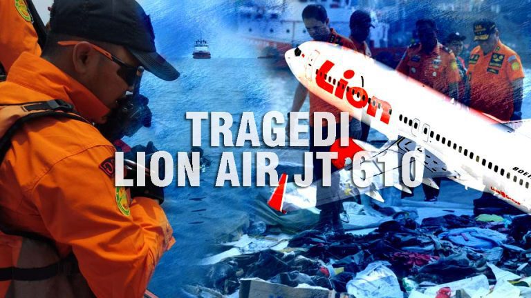 LION AIRR