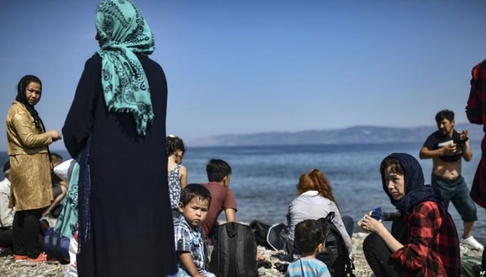 5 Meninggal Akibat Perahu Migran Tenggelam di Perairan Turki