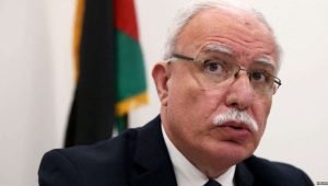 Sosial Media, Senjata Ampuh untuk Dukung Palestina