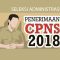Seleksi Administrasi CPNS