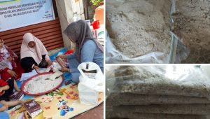 Dosen UCM Bikin Pakan Ayam dari Ampas Kelapa Fermentasi