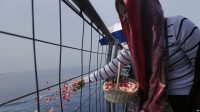 Keluarga Korban Lion Air Berdoa, Tabur Bunga di Laut