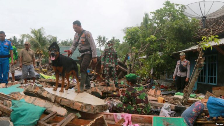 Anjing Pelacak Bantu Cari Korban Tsunami, Korban Tewas Kini Menjadi 429 Orang 3 Korban Tsunami 1