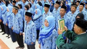 Pemerintah Akan Rekrut Tenaga Profesional Jadi ASN