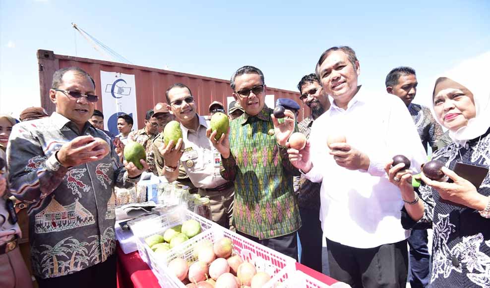 Gubernur Sulsel 2