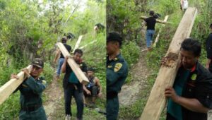 Polhut Kejar dan Tindak Tegas Pelaku Pembalakan Liar