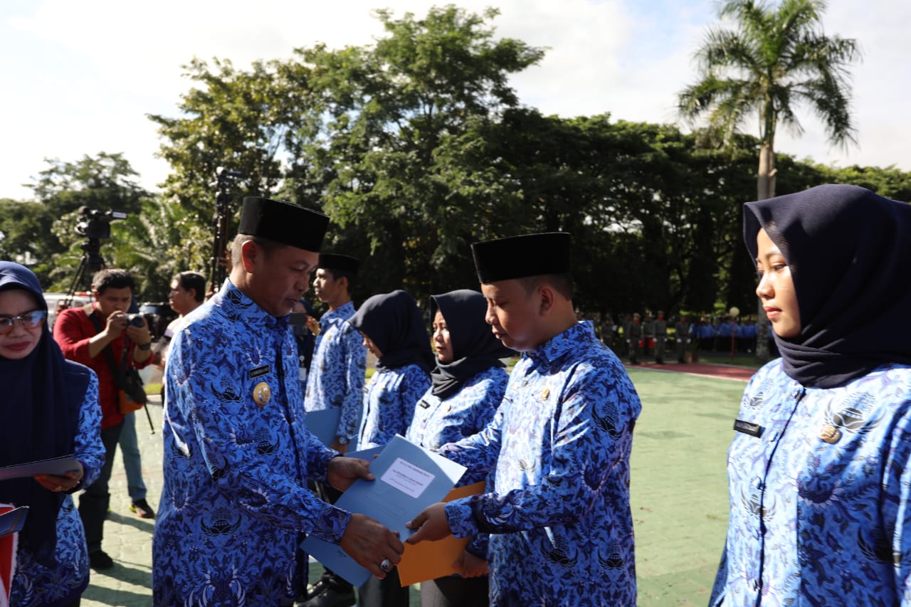 CPNS Pangkep