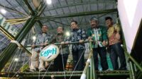 Sekjen KLHK kagum dengan Stand Dishut Sulsel