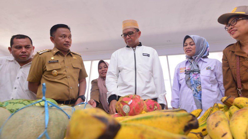 Nurdin Abdullah Beri Ucapan Selamat Kepada Joko Widodo-KH Ma'ruf Amin
