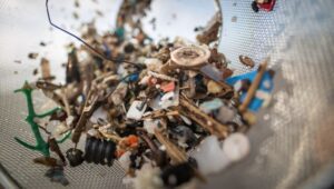 Tanpa Disadari Setiap Pekan, Manusia Konsumsi Plastik Seberat Kartu Kredit