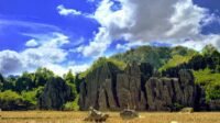 Nikmati Sensasi Berbeda di Geopark Nasional Maros Pangkep dengan Fun bike