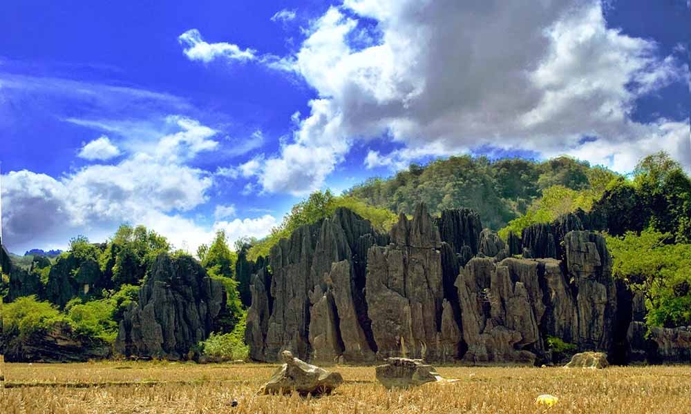 ramang2