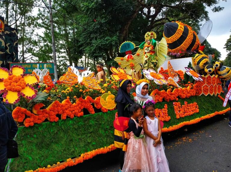 66160797_208192273431225_2929666981473422756_n