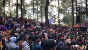 67366539 529070957836128 1339775782125742820 n