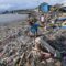 BNPB sebut 584 Desa di Selatan Jawa Rawan Tsunami