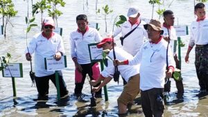 Kadishut Sulsel Ajak Masyarakat Tanam & Pertahakan Populasi Mangrove