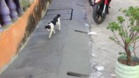 Proyek Drainase Dinas PU Kota Makassar  di Ablam Tidak Dilengkapi Papan Bicara