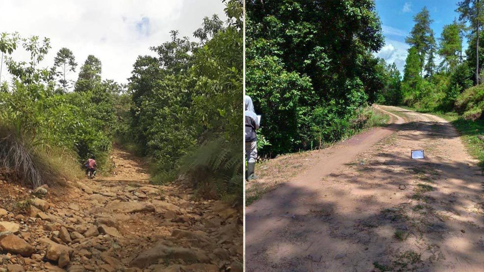 Pemprov Rintis Jalan Bua - Rantepao, Pengaspalan Dimulai Tahun 2020