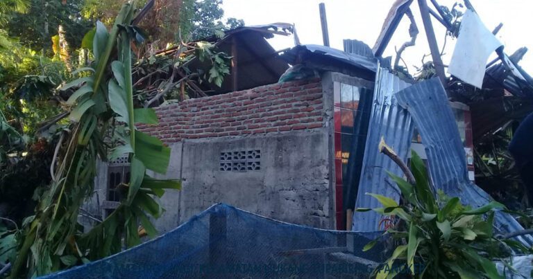 Pohon Sukun Tumbang Menimpa Rumah Warga Pulau Sarappo Lompo 6 Pohon Sukun Tumbang Menimpa Rumah Warga Pulau Sarappo Lompo