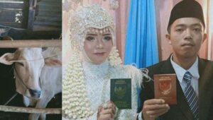 Viral Pernikahan Tukang Bubur, Berikan Seserahan 2 Sapi, 2 Kambing, 1 Motor Vario dan Emas 20 Gram