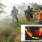 Kebakaran Hutan dan Lahan