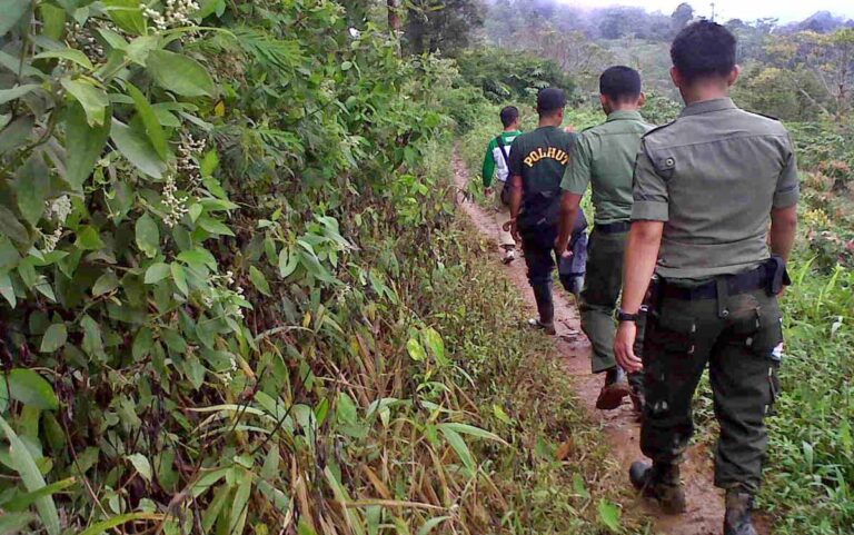 Gaji Polhut Non PNS Naik Sesuai UMP 7 Gaji Polhut