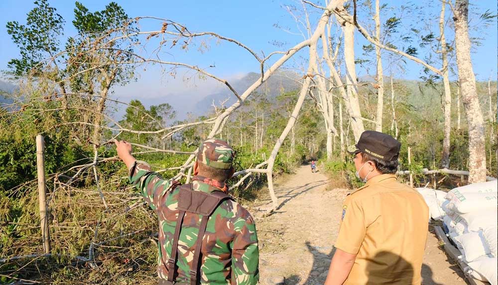Kebakaran Hutan 1