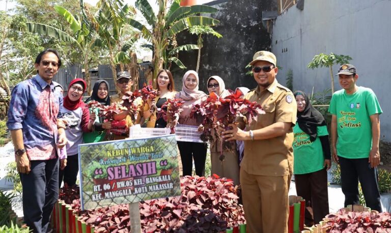 Iqbal Suhaeb Panen Cabai & Sayur di Kecamatan Bontoala dan Manggala 3 Manggala 1