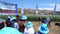 Gelar Teknologi di Gowa, Syngenta Dorong Praktik Pertanian yang Baik Melalui Ekspo Tanaman Jagung