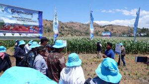 Gelar Teknologi di Gowa, Syngenta Dorong Praktik Pertanian yang Baik Melalui Ekspo Tanaman Jagung