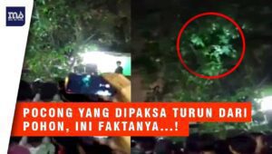 Warga Paksa Pocong Turun dari Atas Pohon