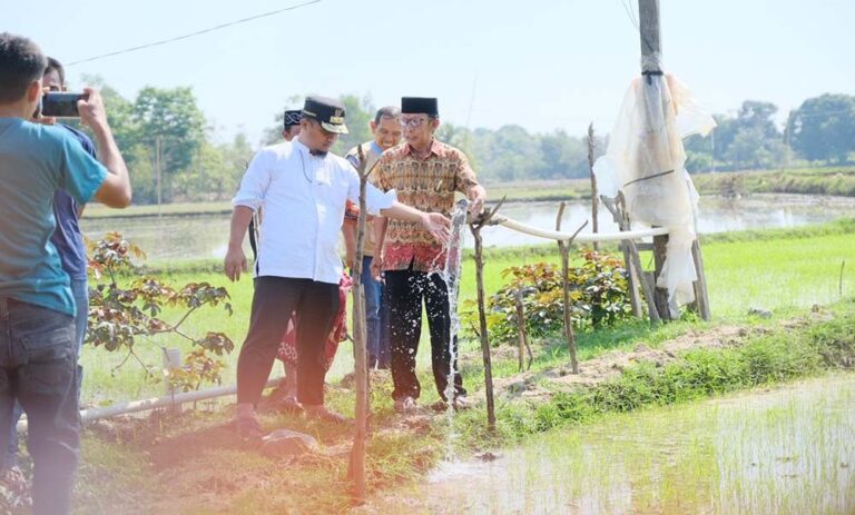 Wagub Sulsel Bantu Atasi Kekeringan Warga di Desa Lagoari Wajo 4 Wakil Gubernur Sulawesi Selatan 2