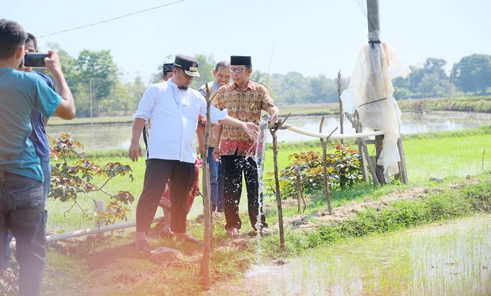 Wakil Gubernur Sulawesi Selatan 2