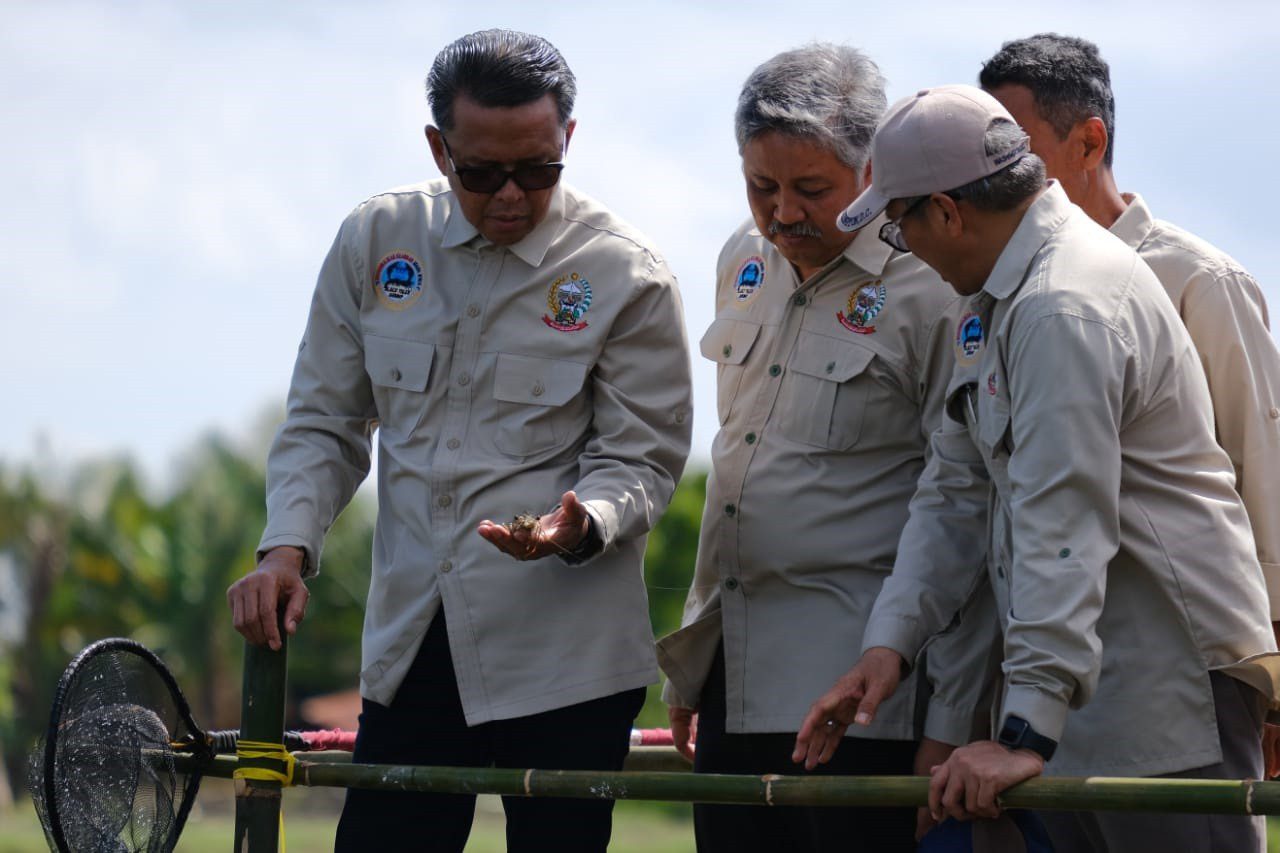 Melalui Udang windu, Gubernur Bangkitkan Ekonomi