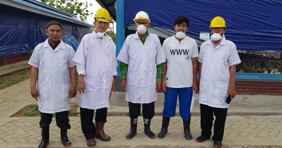 Peternakan Ayam Ini Luar Biasa Lompatan Kemajuan Unismuh Makassar