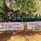 CSR Foto Kegiatan Elnusa Petrofin Cleanup dan Penghijau Pantai Ende