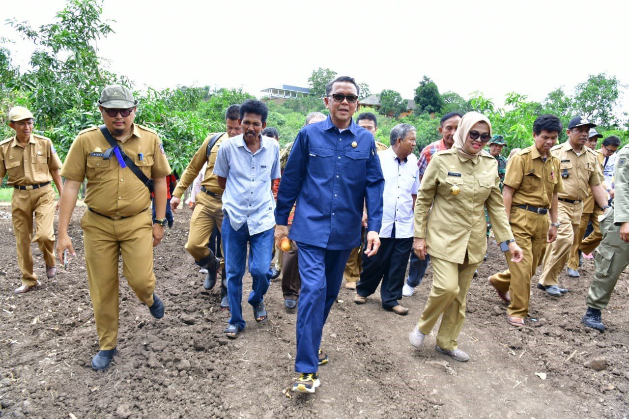 Pemprov Gagas Dua Varietas Baru Jagung untuk Pasar Internasional